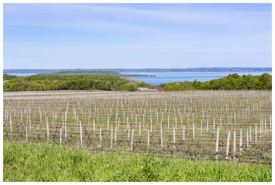 Chateau Chantal Vineyard on Old Mission Peninsula