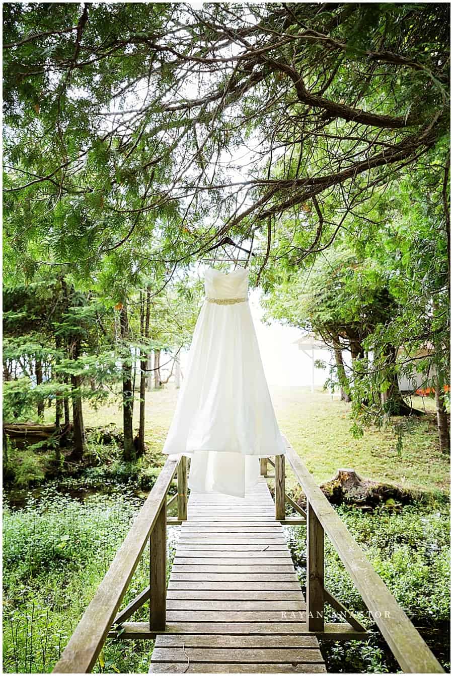 wedding dress hanging from a pine tree at the red shutter
