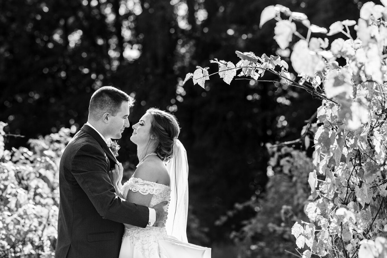 Bride and Groom in Old Mission Vineyard at Sunset