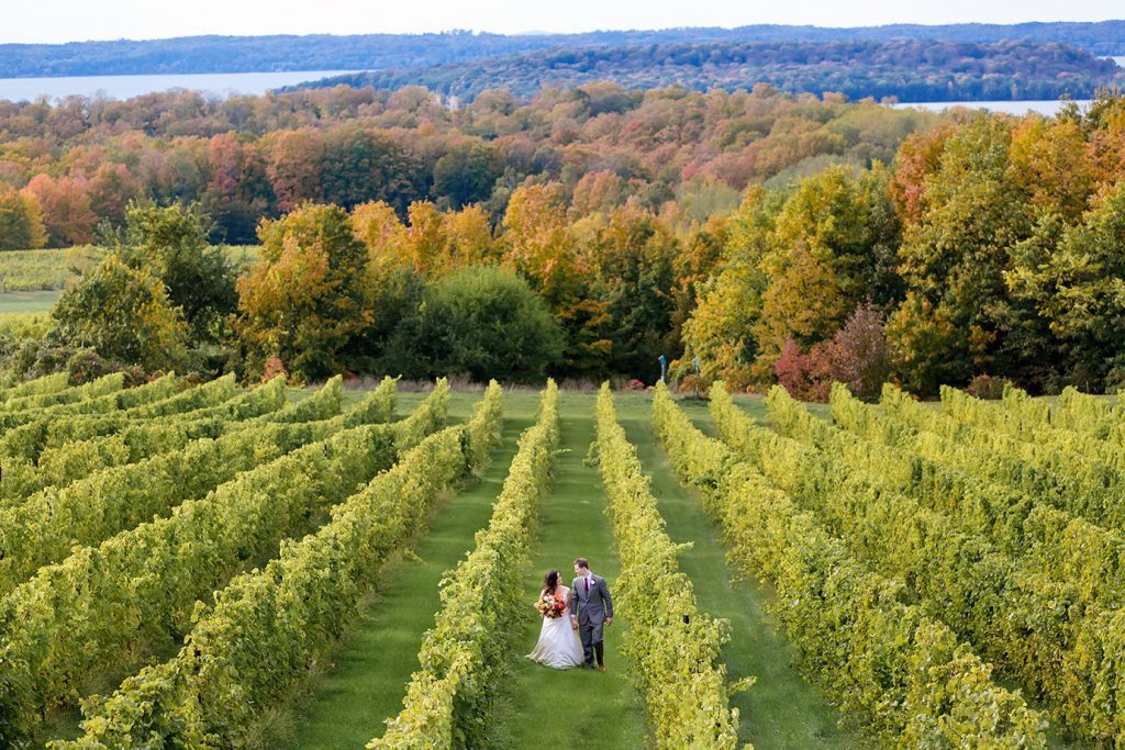bride and groom in vineyard in Michigan