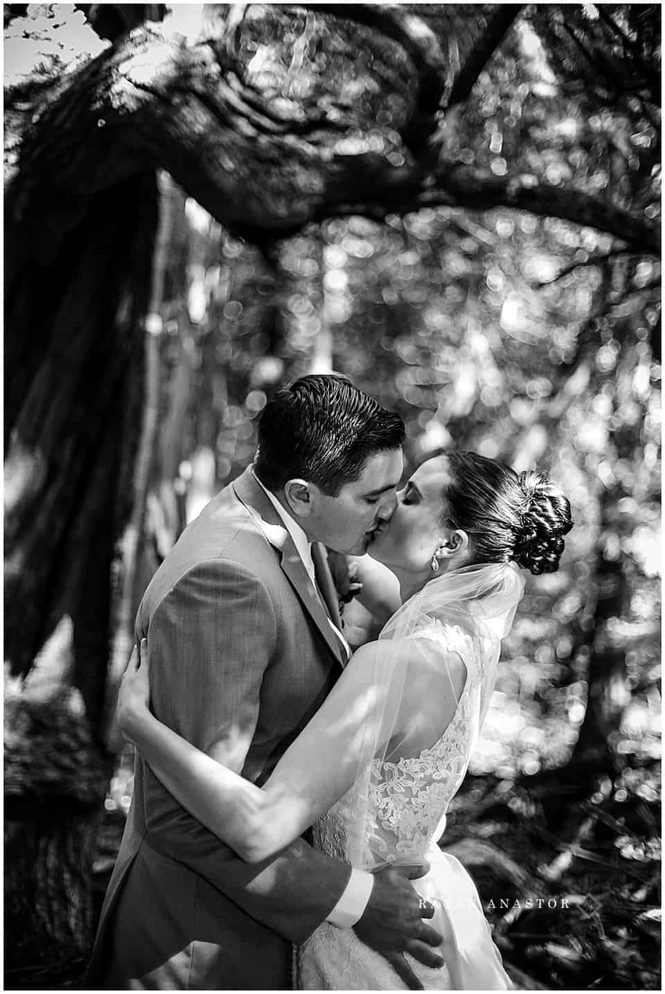 bride and groom portraits in the orchard at the inn at stonecliffe