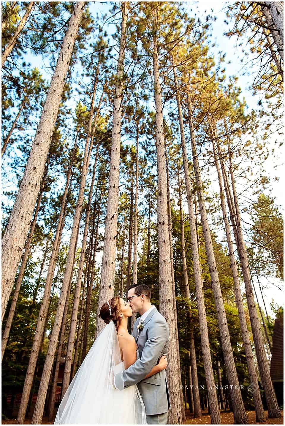bride and groom among tall pine trees