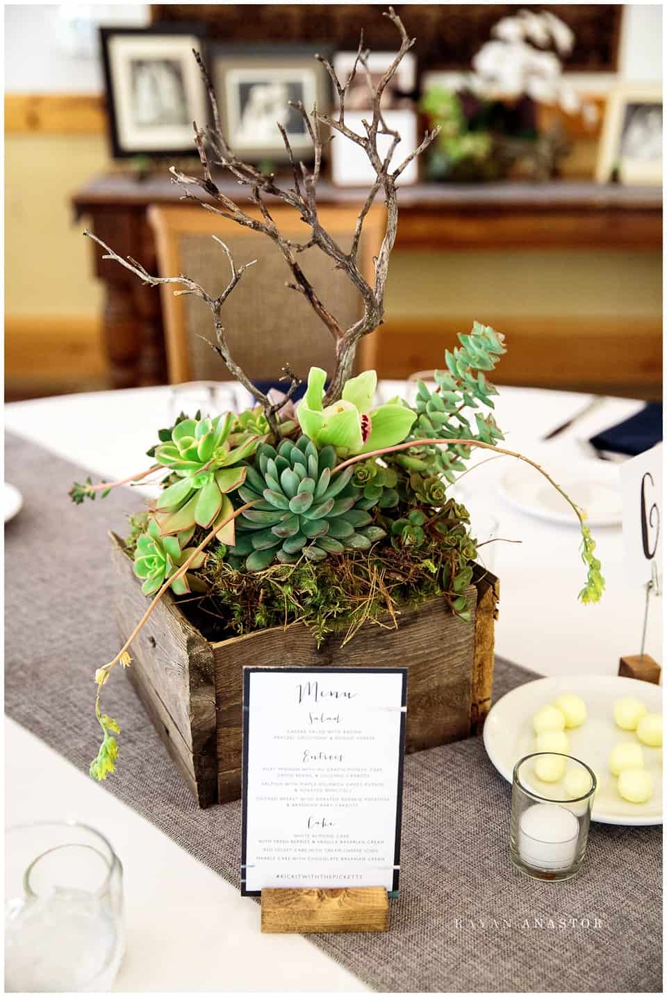succulent and orchid wedding center pieces