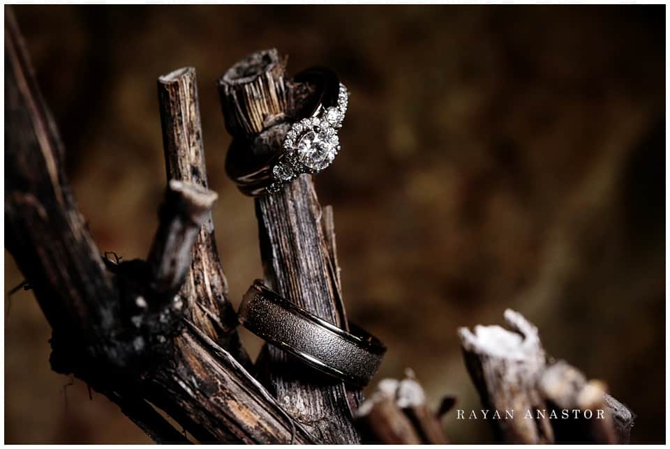 wedding rings on a piece of drift wood