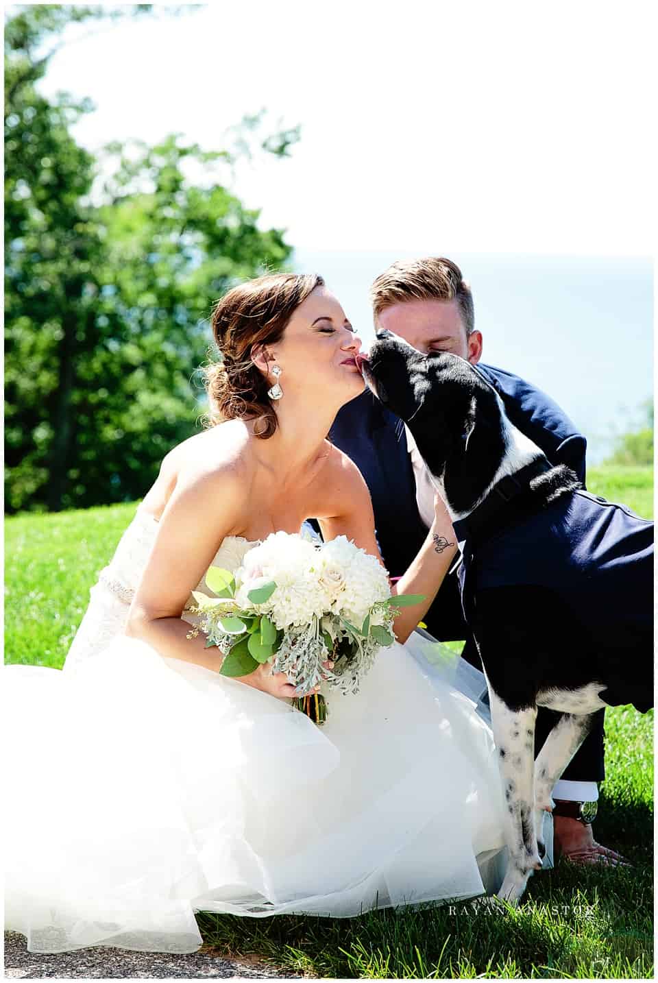bride and groom and puppy