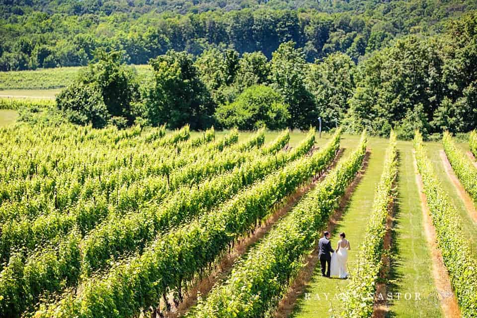 Bride and groom walking in a vineyard at the wedding