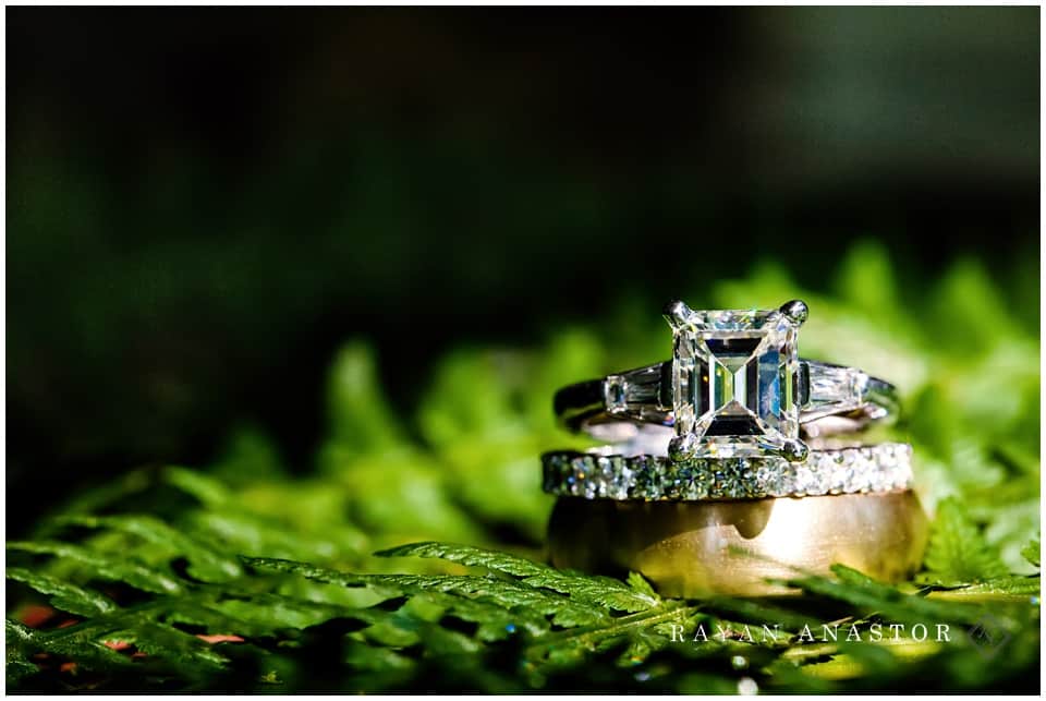 wedding rings on fern leaf