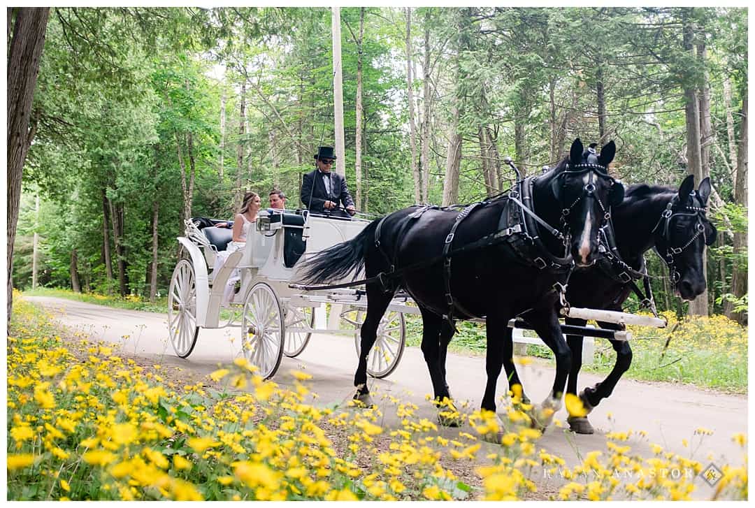 carriage ride on Mackinac island