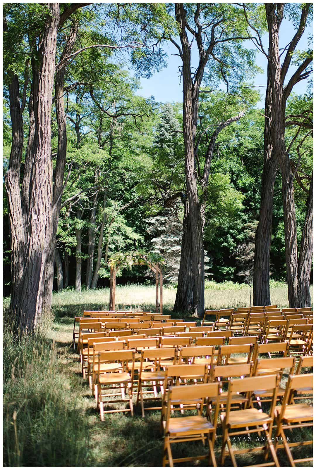 wedding ceremony under locust trees