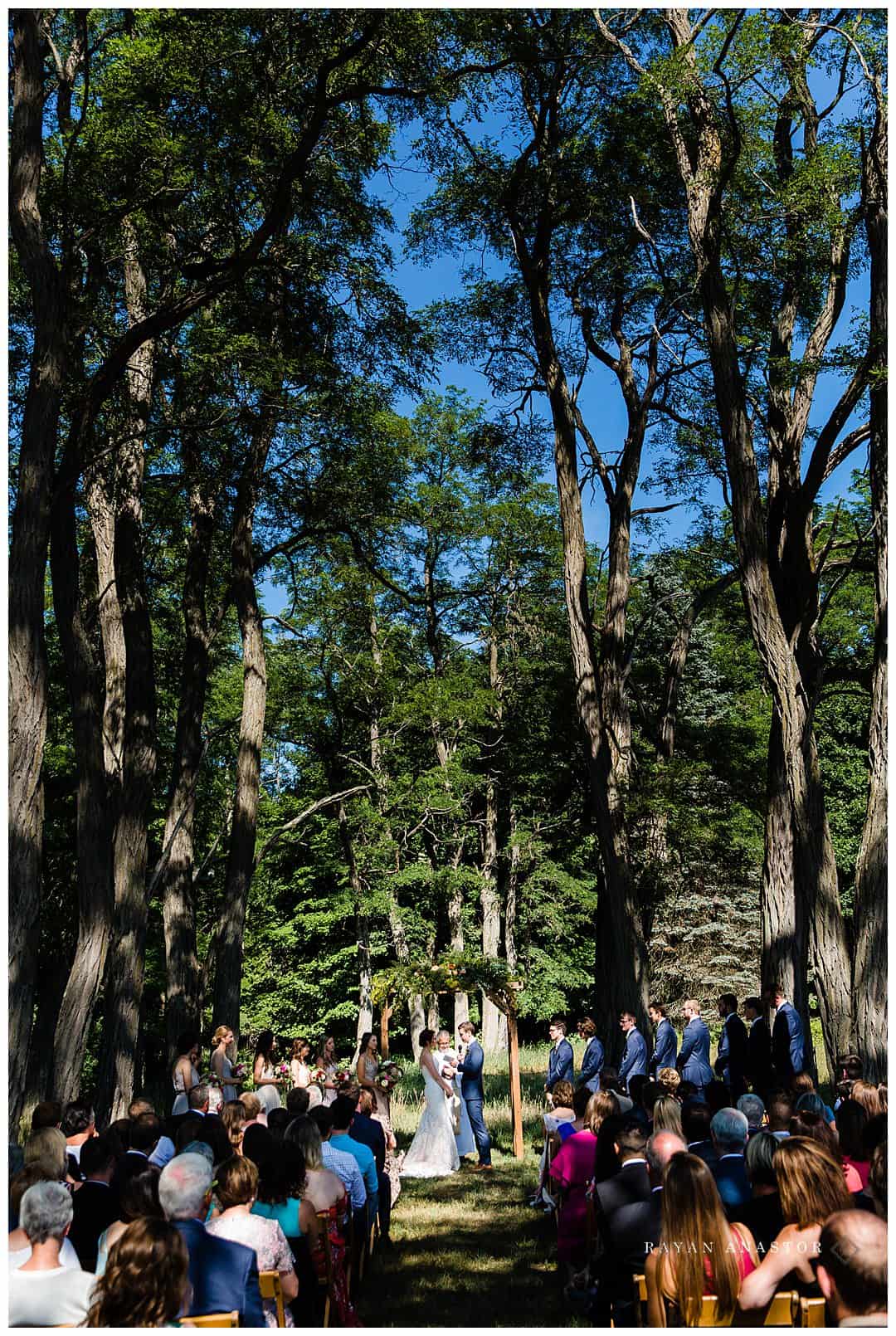 Wedding under the locust trees in northern michigan