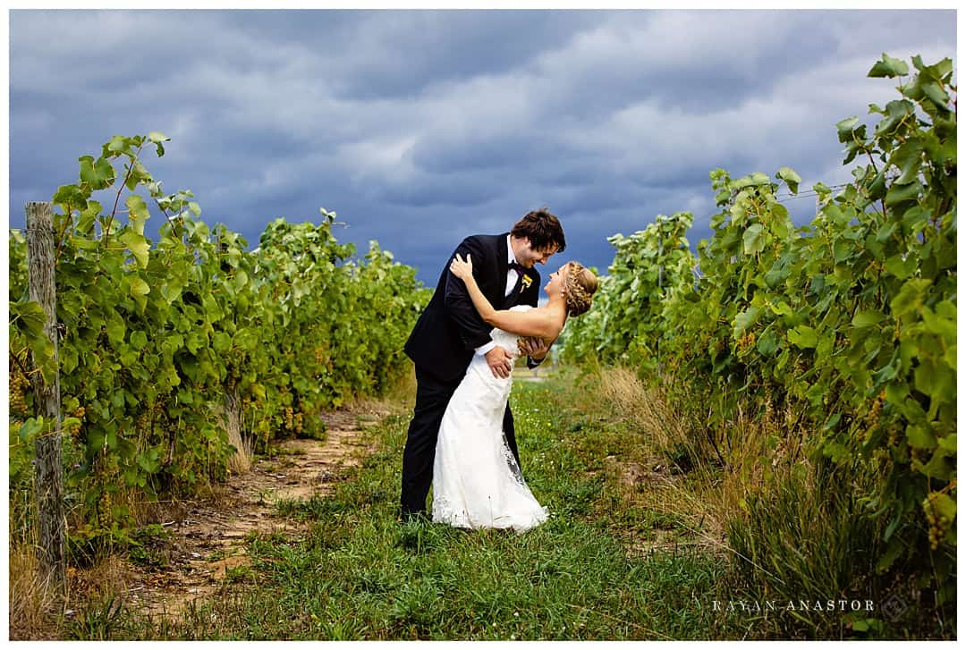wedding photos in bowers harbor vineyard