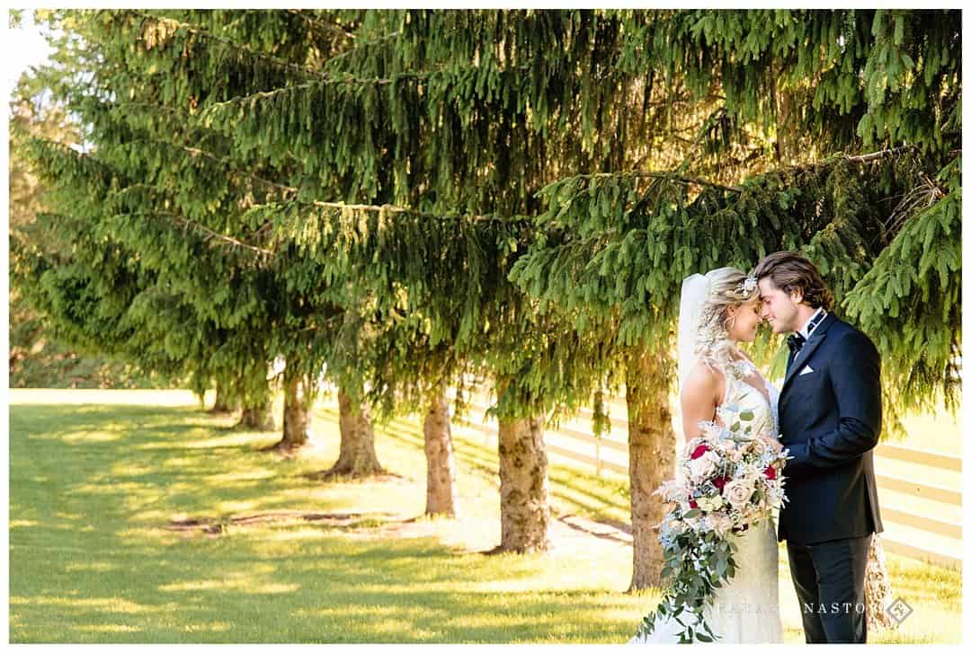 bride and groom in pine trees