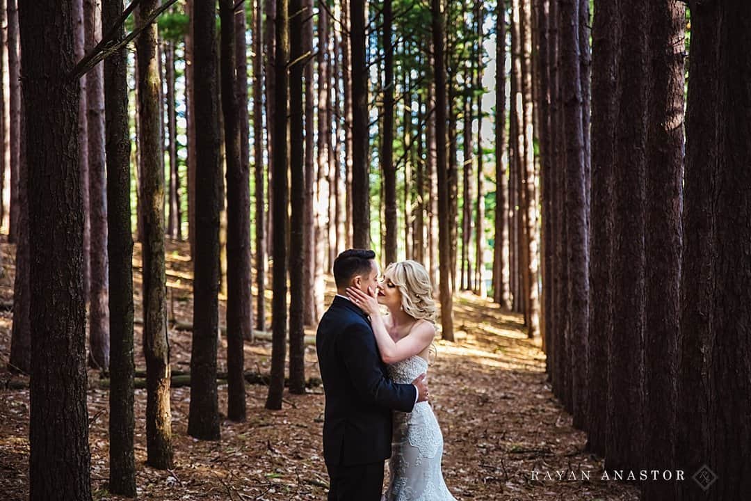 Elegant Glen Arbor MI Wedding