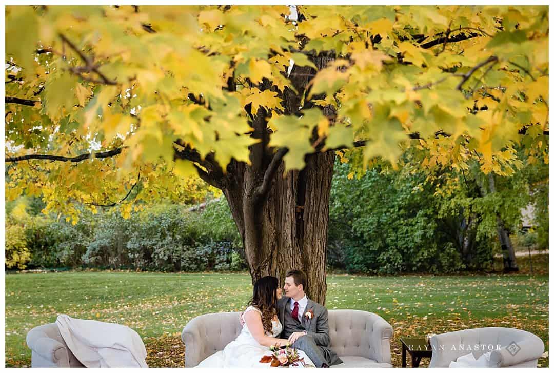couple on couch under beautiful maple tree at wedding